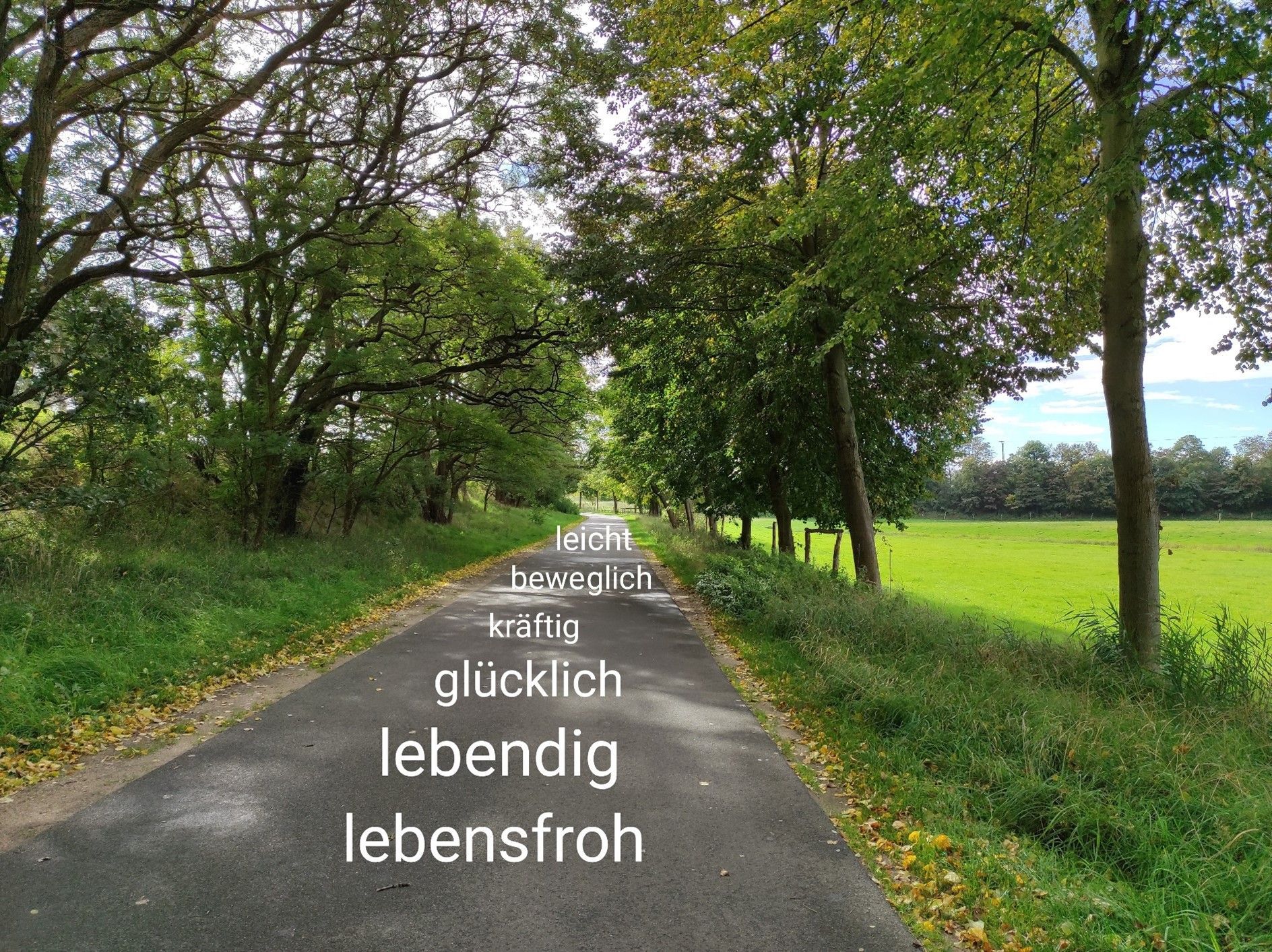 Baumgesäumte Landstraße mit überlagertem Text: leicht, beweglich, kräftig, glücklich, lebendig, lebensfroh.