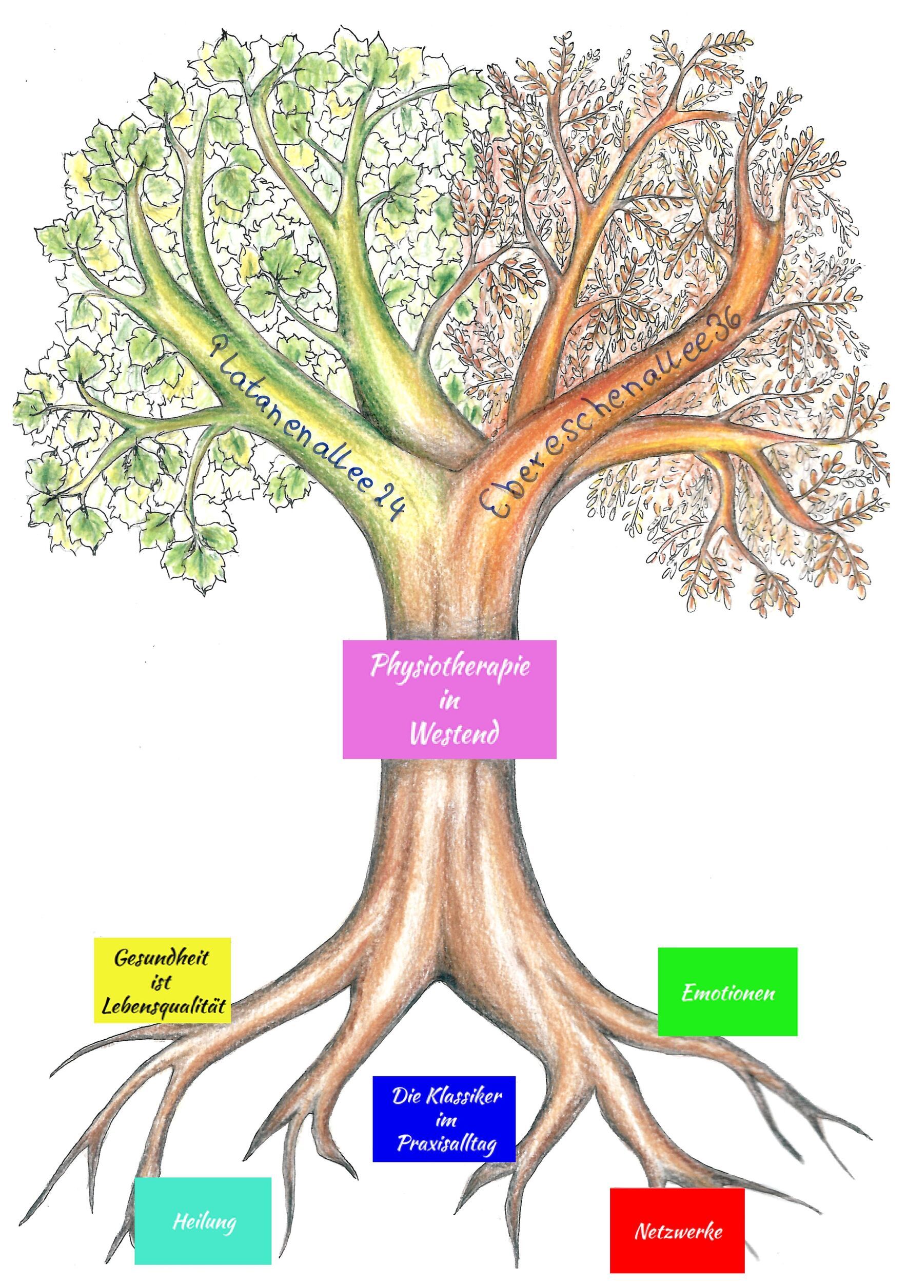 Gezeichnetes Baumdiagramm mit zwei Hauptästen. Der linke grüne Ast trägt die Aufschrift Platanenallee 24, der rechte herbstliche Ast Ebereschenallee 36. Wurzeln enthalten Begriffe wie Heilung und Netzwerke. In der Mitte steht Physiotherapie in Westend.