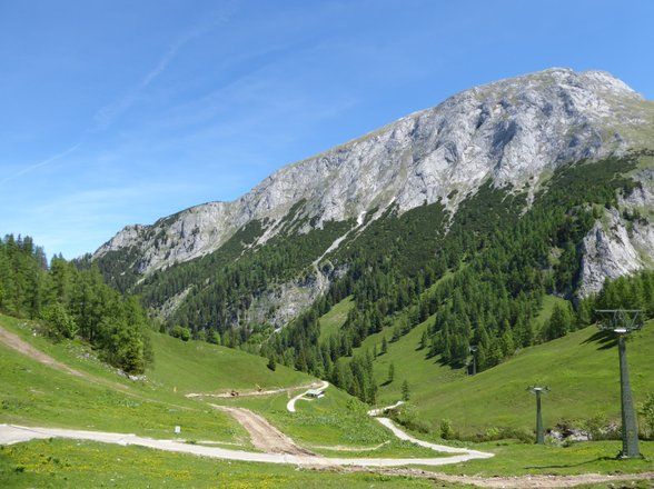 Bergpanorama mit satten, grünen Wiesen und zwei Wanderwegen. Der Himmel ist strahlend blau.