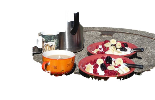 Freigestelltes Bild eines Frühstücks. Zwei Tassen, eine große, orange mit Schnörkeln und eine kleine, hohe Tasse mit 3 Labrador-Hunden als Motiv, stehen neben zwei Tellern mit Joghurt. Als Topping wurden verschiedenen Beeren und aufgeschnittenen Bananen zubereitet.