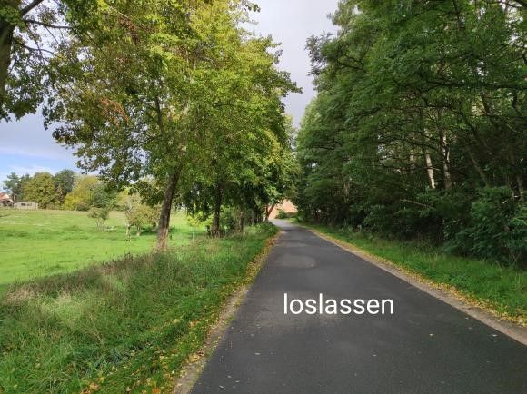 Landstraße zwischen grünen Wiesen und Bäumen mit dem Wort loslassen.
