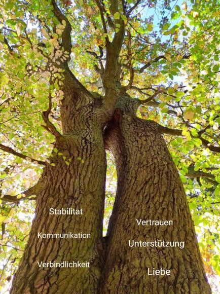 Zwei zusammengewachsene Bäume mit einem dichten Blätterdach, überlagert mit Worten wie 'Stabilität, Kommunikation, Vertrauen, Unterstützung, Liebe.'